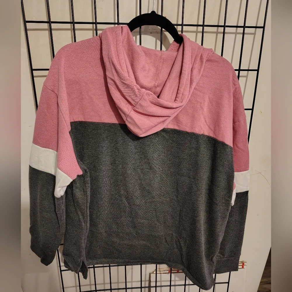 Walt Disney World Spirit Pink Gray Hoodie - Picture 8 of 9